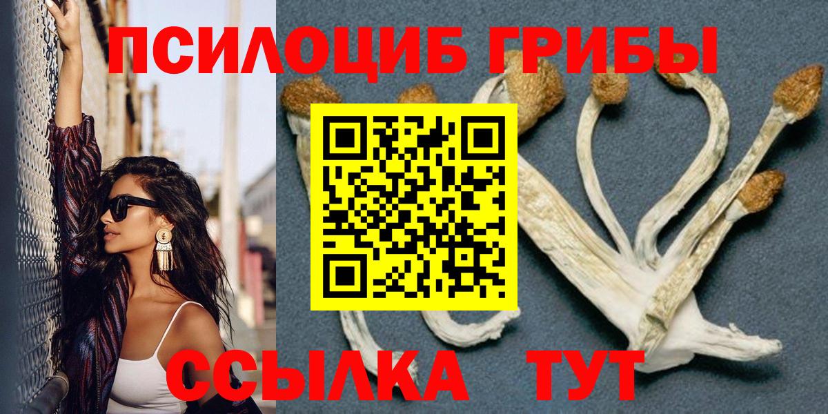 Галлюциногенные грибы Magic Shrooms  Вход с VPN  где найти   Каменск-Шахтинский 